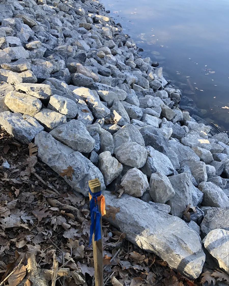 Close view of gray riprap stones where they meet the water, with a flagged stake in the leaves beside them